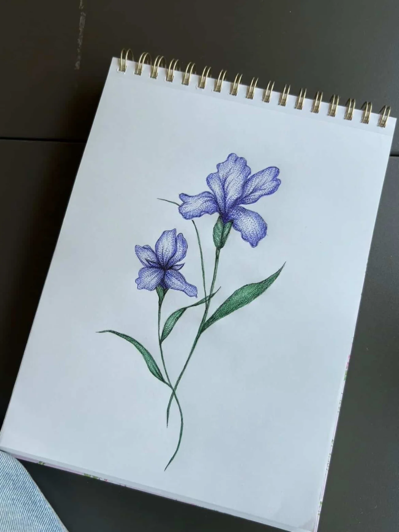 Dotwork iris created with the method