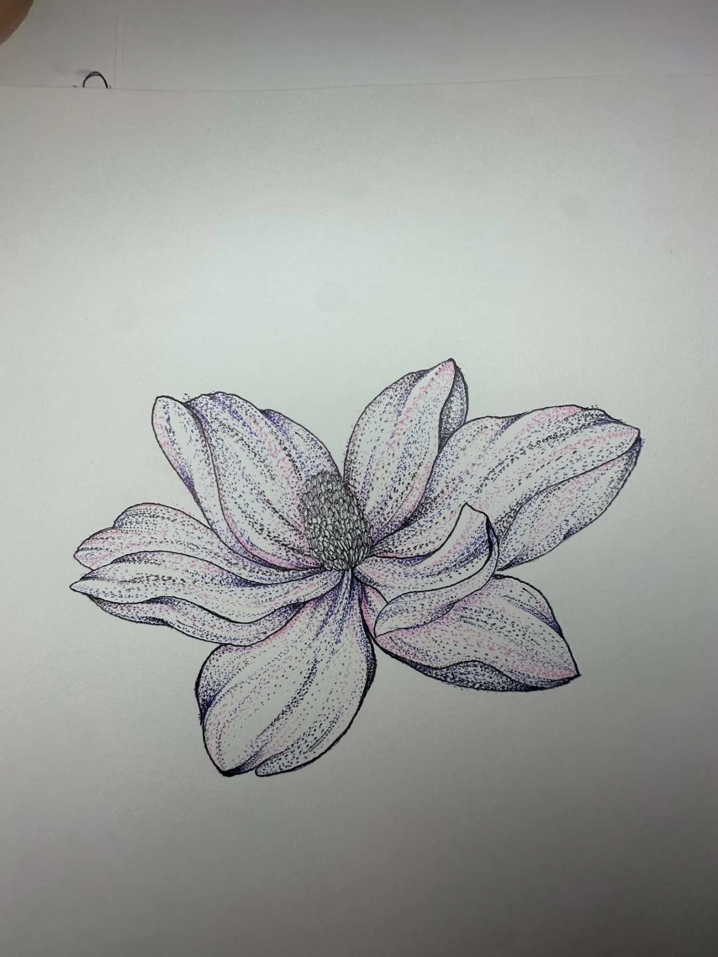 Dotwork magnolia created with the Star Method